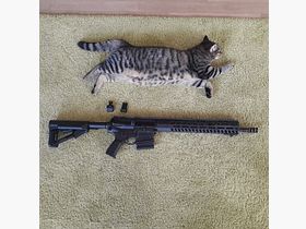 Like new - Sig Sauer 716 G2 Patrol with Geissele trigger and Magpul STR Stock