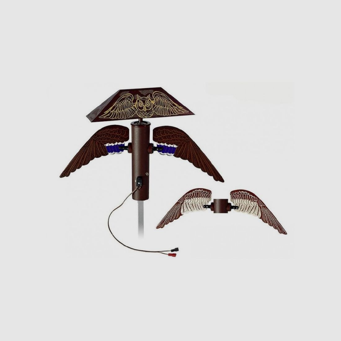 Allodoliera German Anatraia
