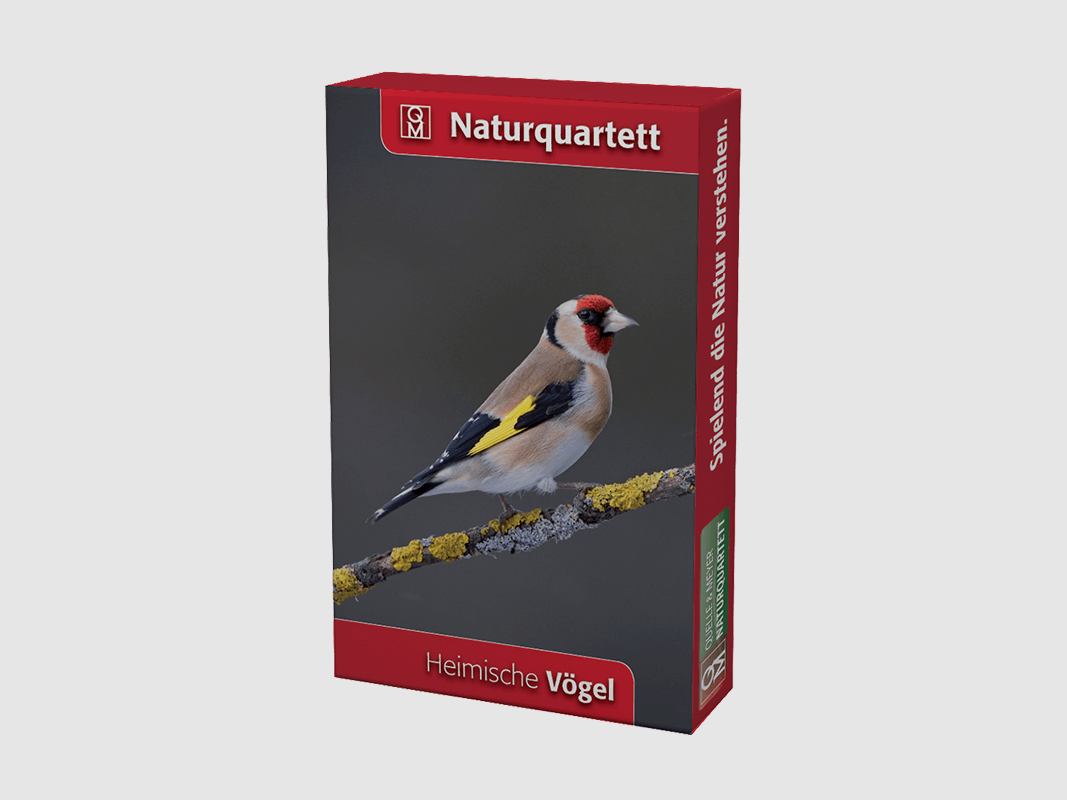 Quartetto della natura "Uccelli autoctoni"
