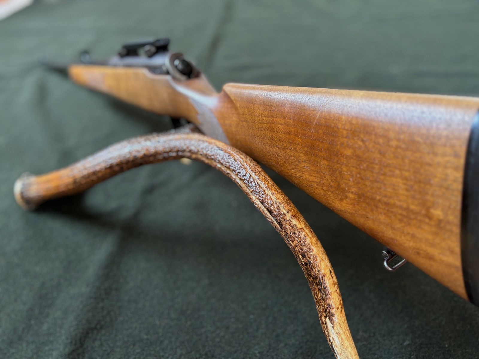 SIG 98 in .30-06 / ähnlich Sauer 202