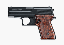 Röhm RG 300