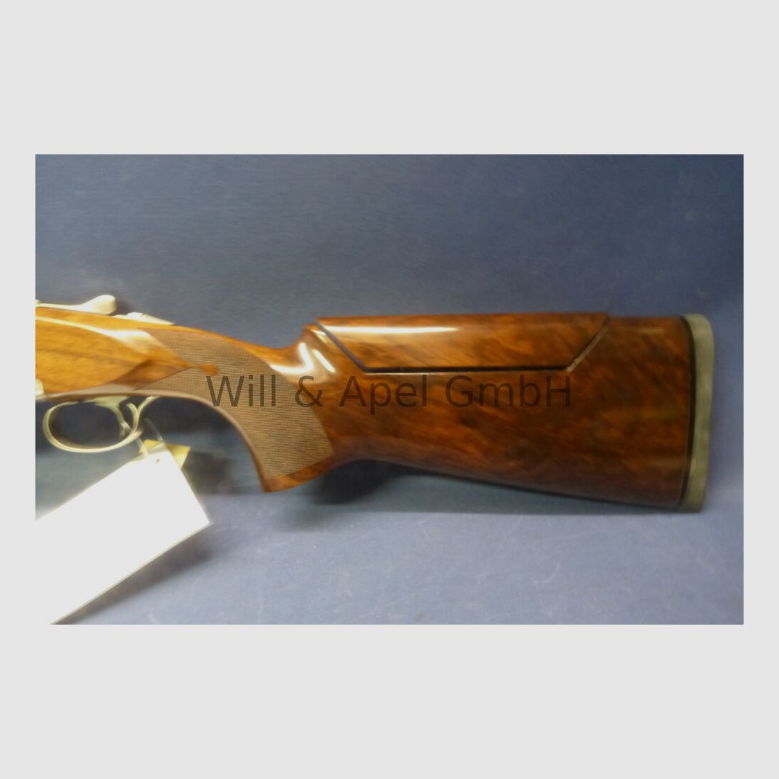 Guerini Invictus I Sportief