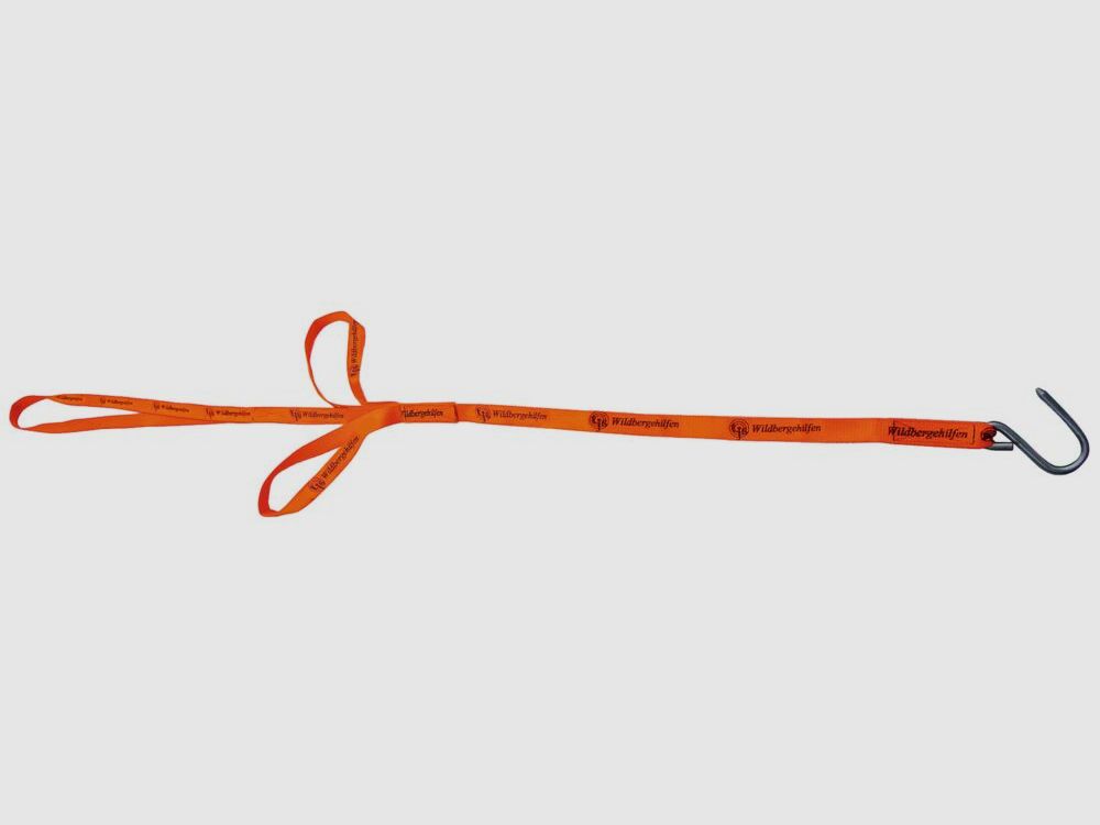 Ayuda para la recuperación de TJS Dreizug