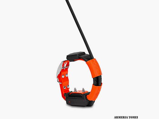 DOG TRACE – COLLAR X30T