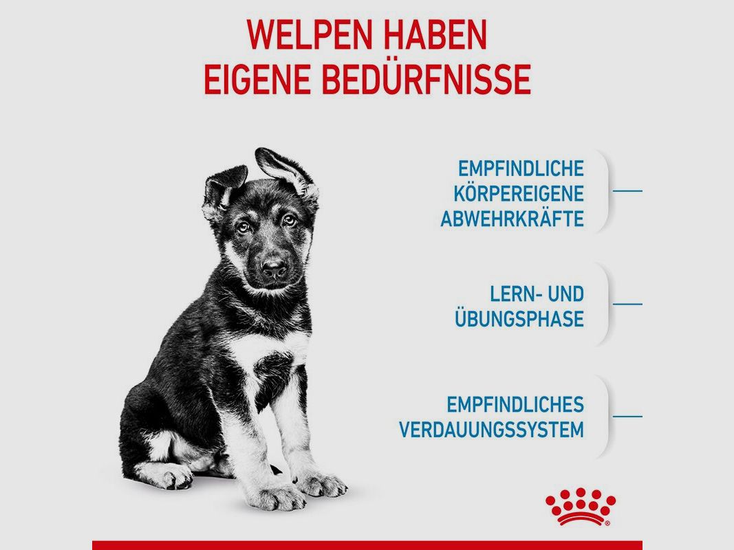 ROYAL CANIN Große Hunde Trockenfutter Maxi Welpen 15 Kg