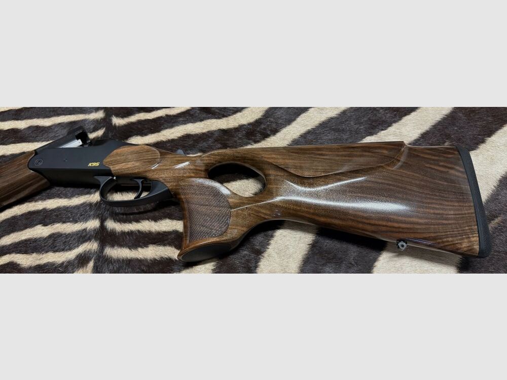 Blaser K95 Success