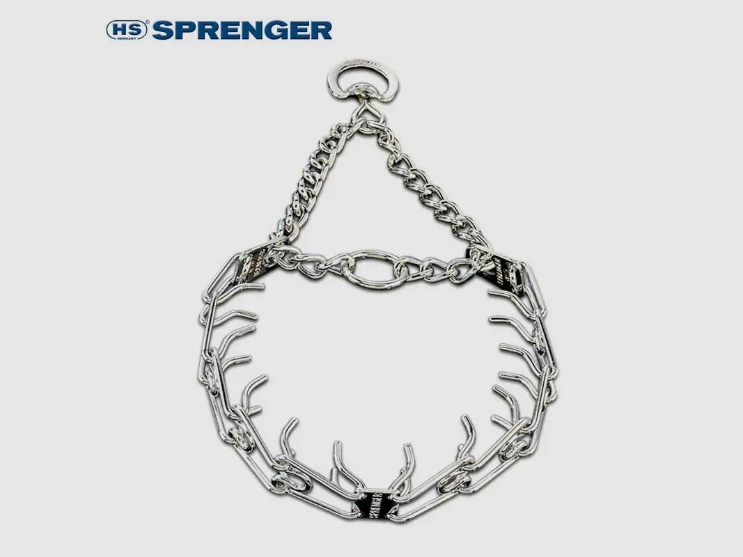 Sprenger Torquatus-Stachelwürger Gr. 00