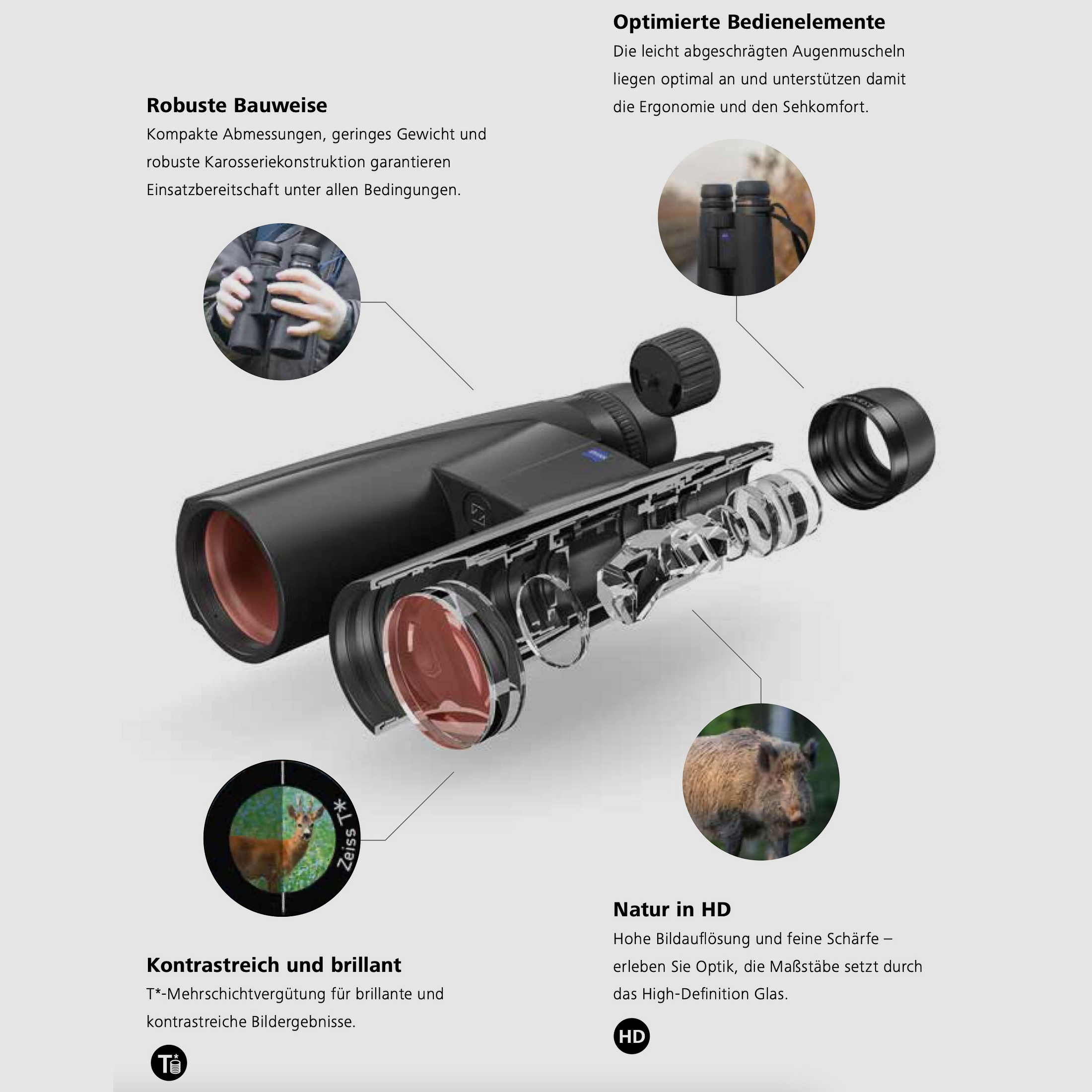 Jumelles ZEISS Conquest HD 10x56 avec étui et sangle