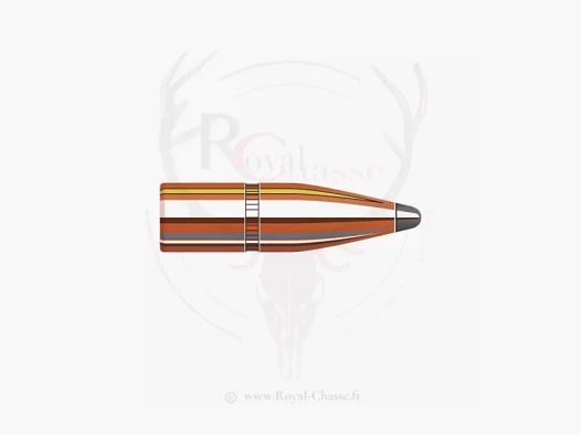 100 ogives Cal.30 D.308 165Grs INTERLOCK SP HORNADY