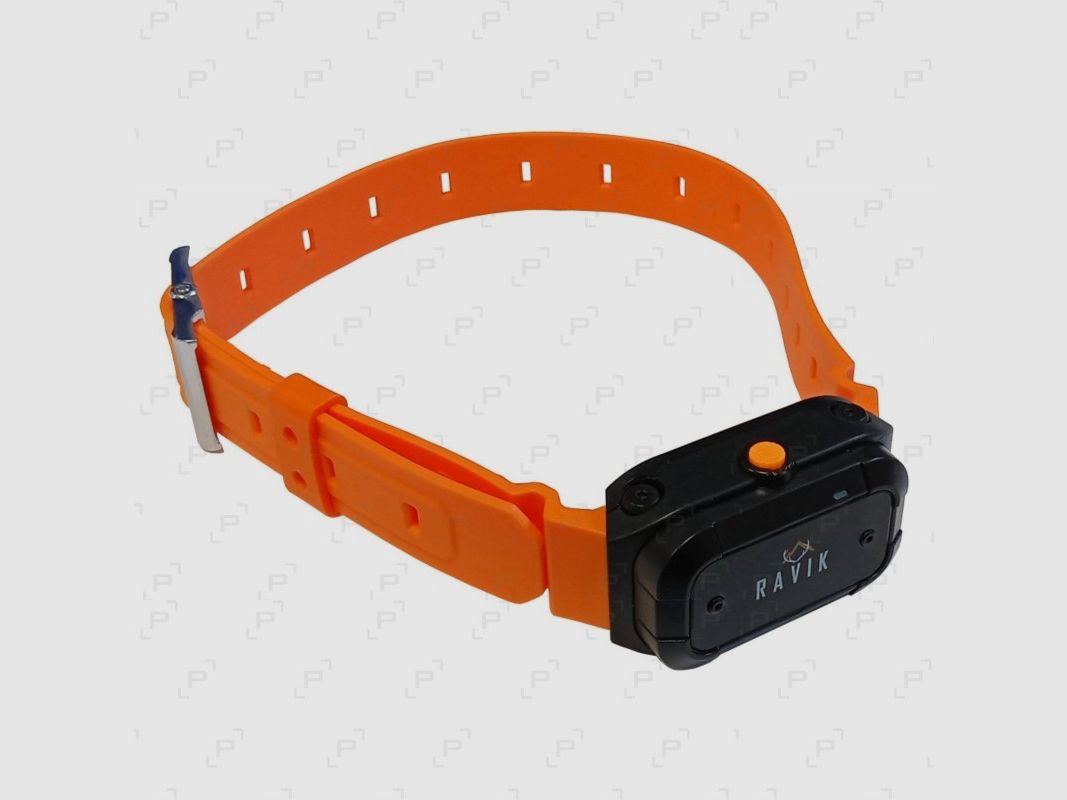 Pack de dressage RAVIK RV900 - 1 chien, image 3 sur 3