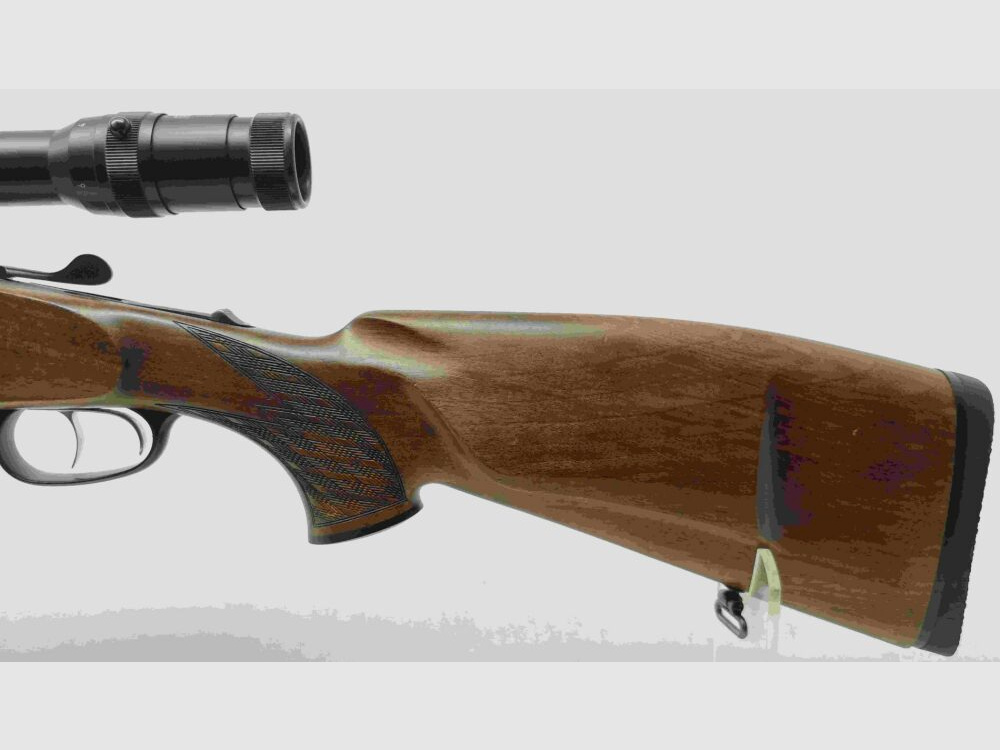 Blaser B95 (BBF 95)