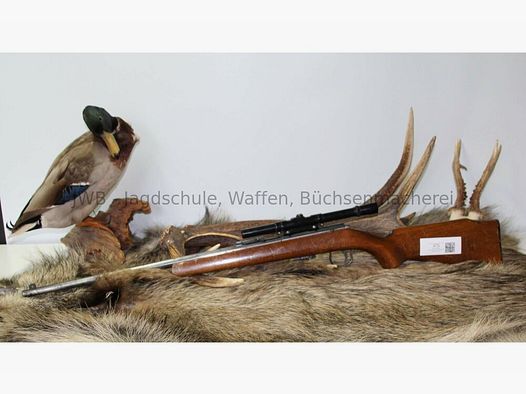 Anschütz 1400 .22lr