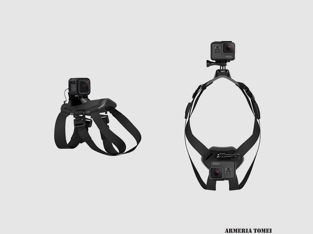 GoPro – FETCH ARNES PARA PERROS (PETTORINA), imagen 2 de 3