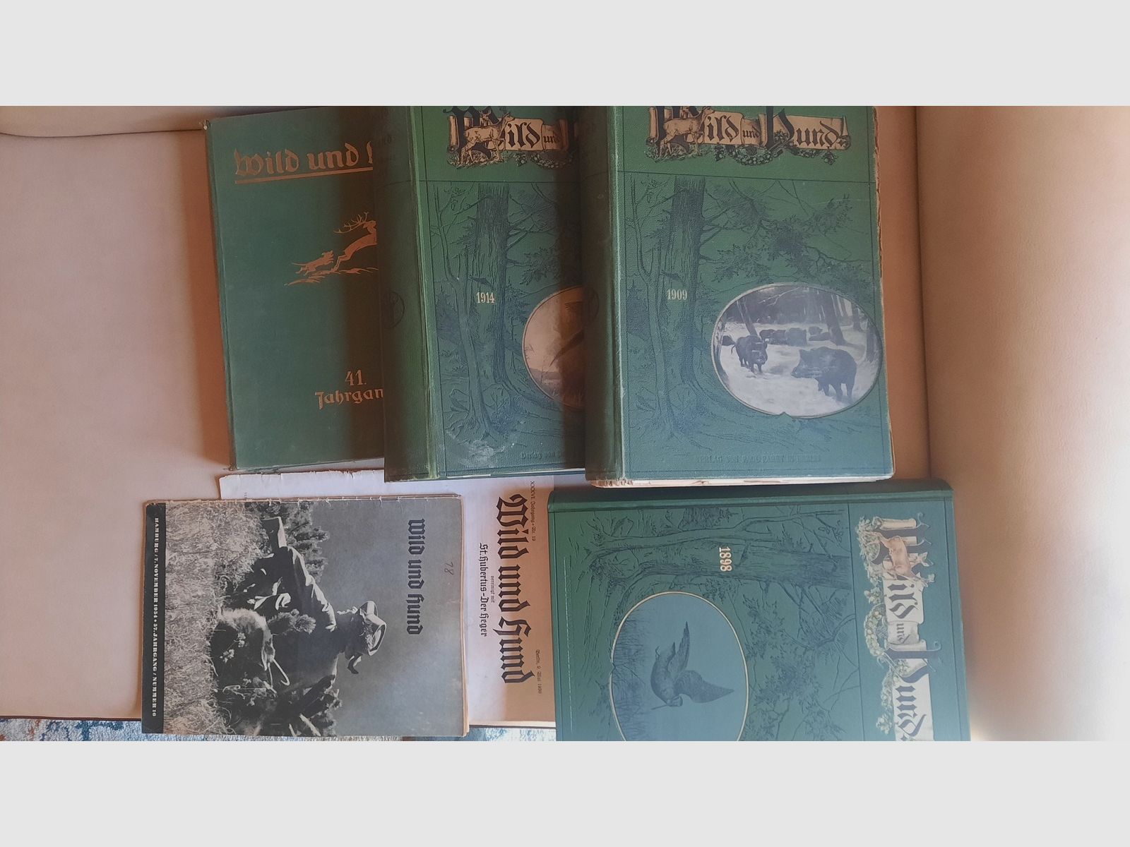 Livres annuels historiques originaux de Wild und Hund