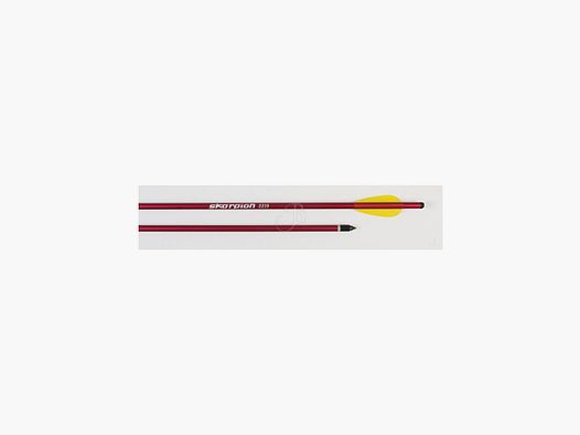 SKORPION DARDO BALESTRA ALU 20" 2219 conf. 6 PZ