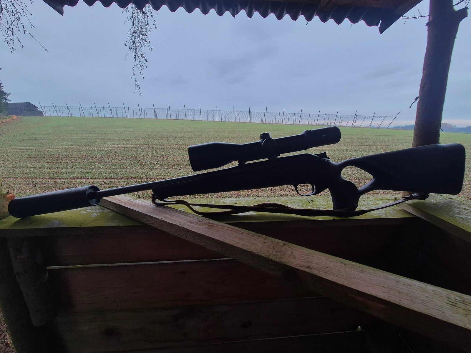 Blaser R8 Professional Success