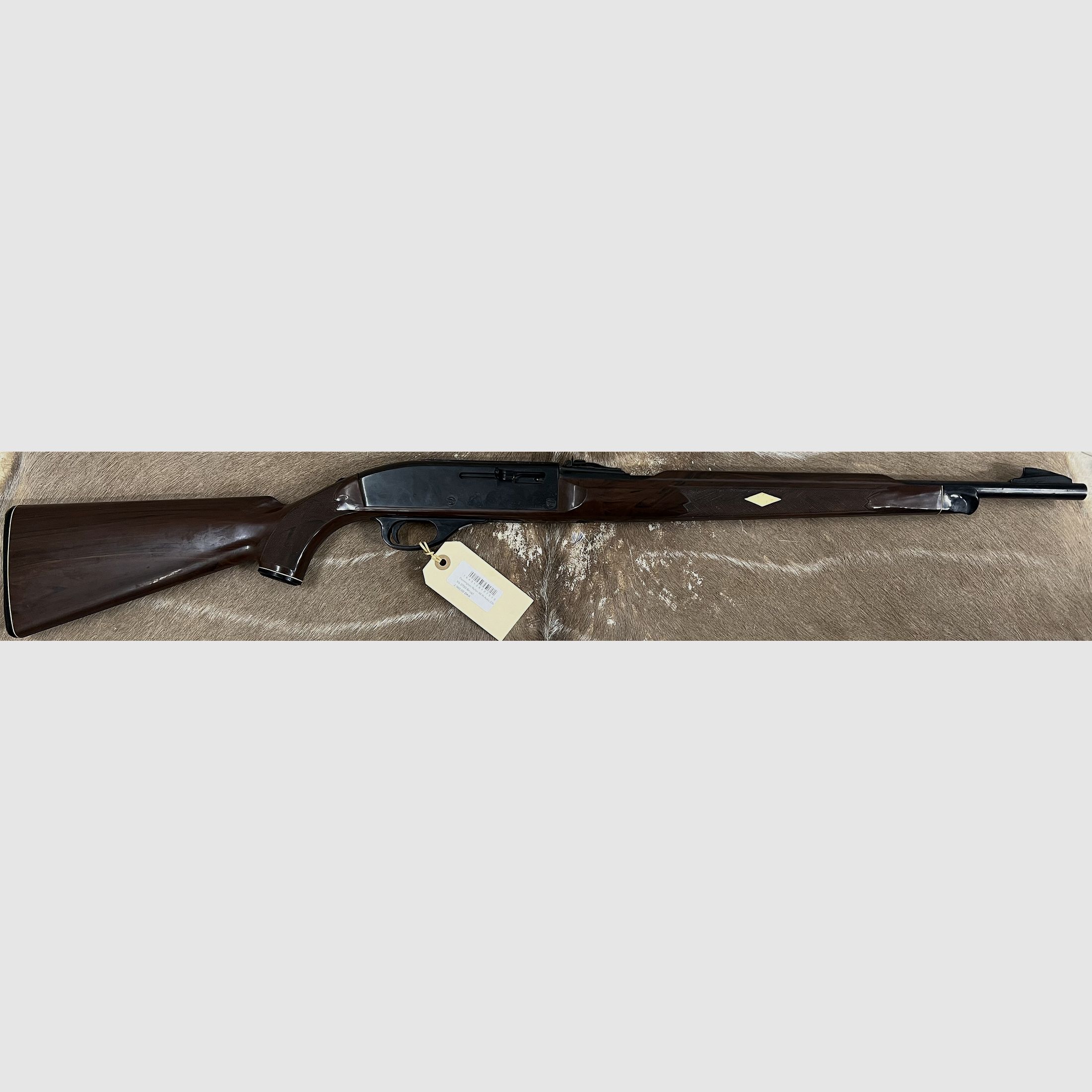 Brugt Remington Nylon 66 H-Auto 22lr