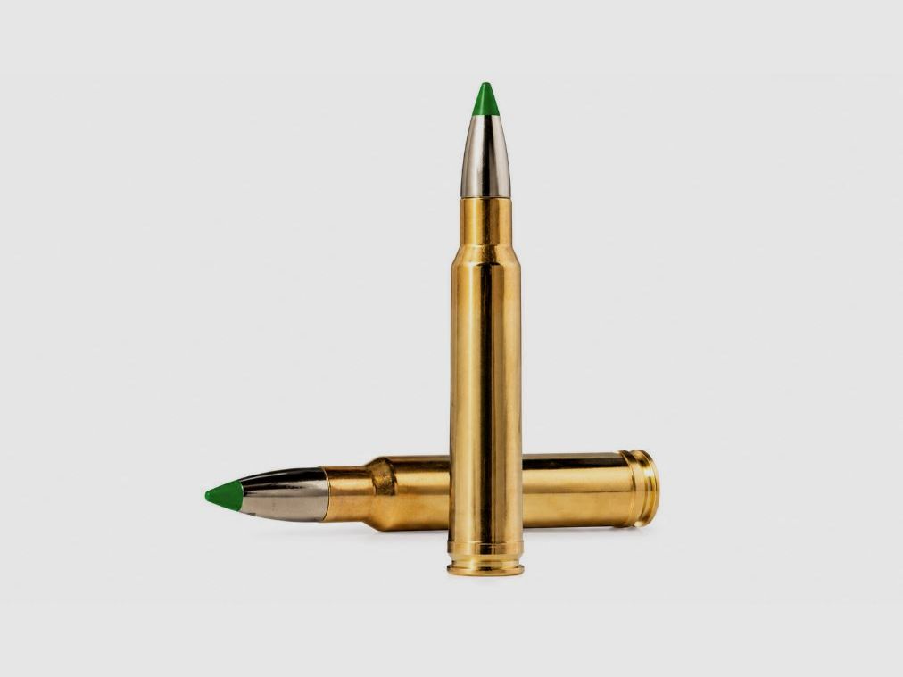 Norma Ecostrike 338Win Mag 13G 200gr
