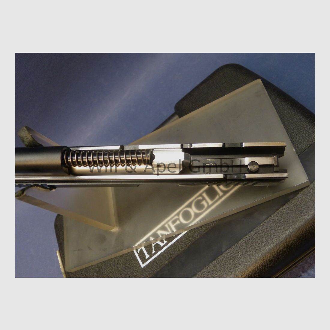 Tanfoglio interchangeable system P19