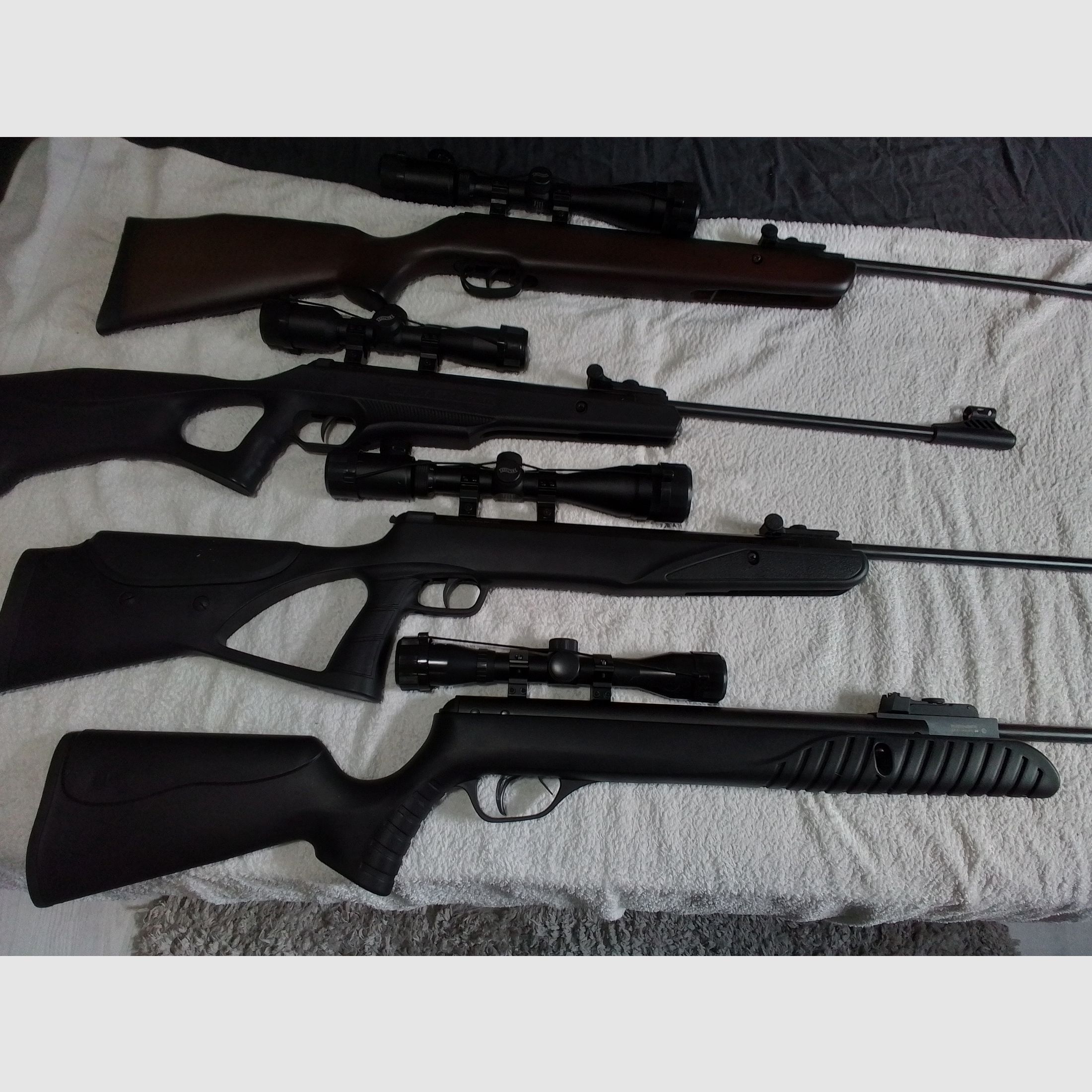 Umarex, Diana, Hämmerli, Gamo, Rügen, Stoeger, Sig Sauer