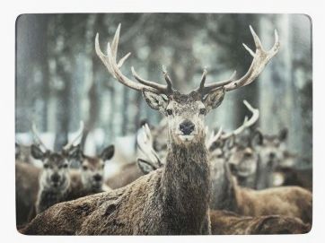 Lovergreen art of the table motif deer head placemat x 4