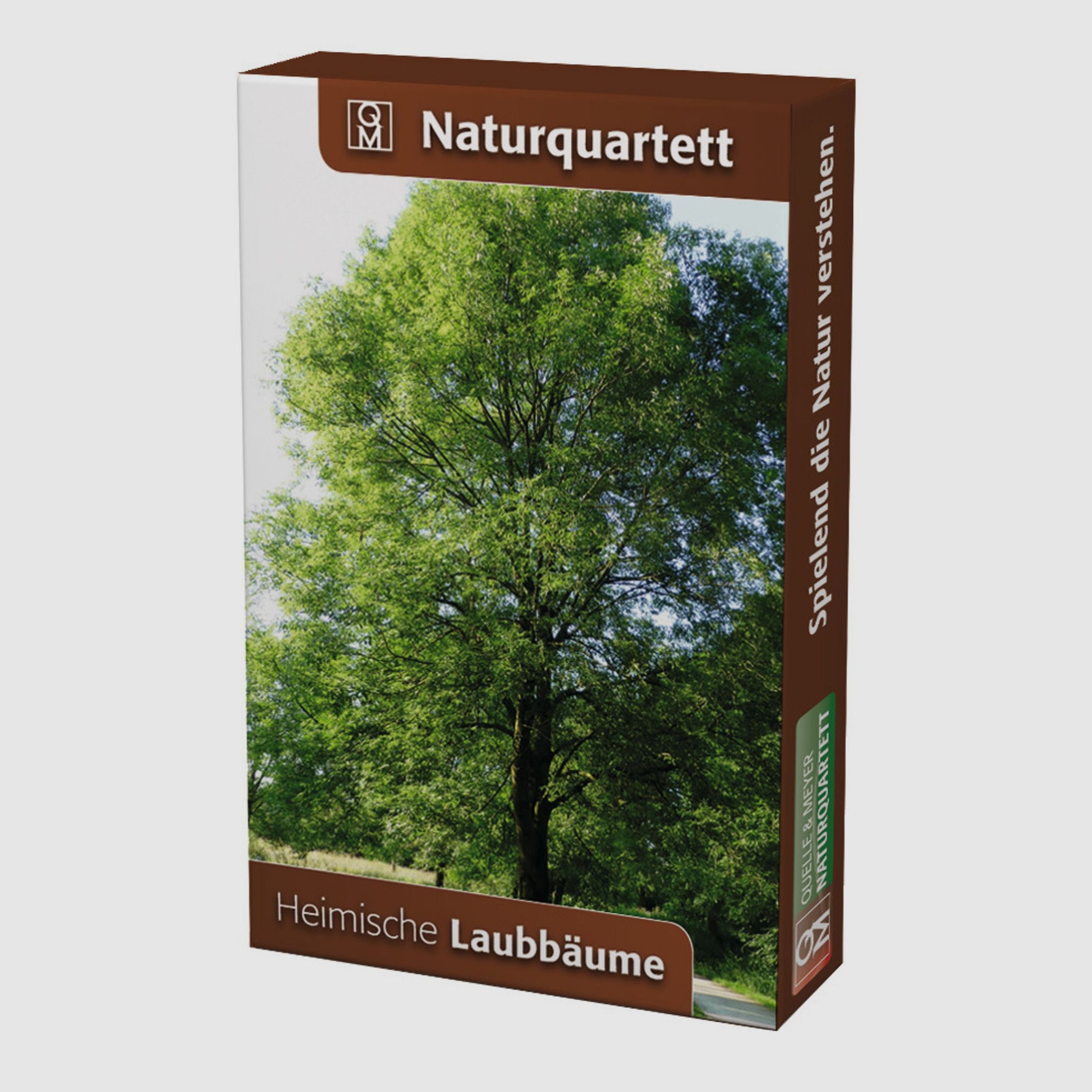 Naturquartett Heimische Laubbume