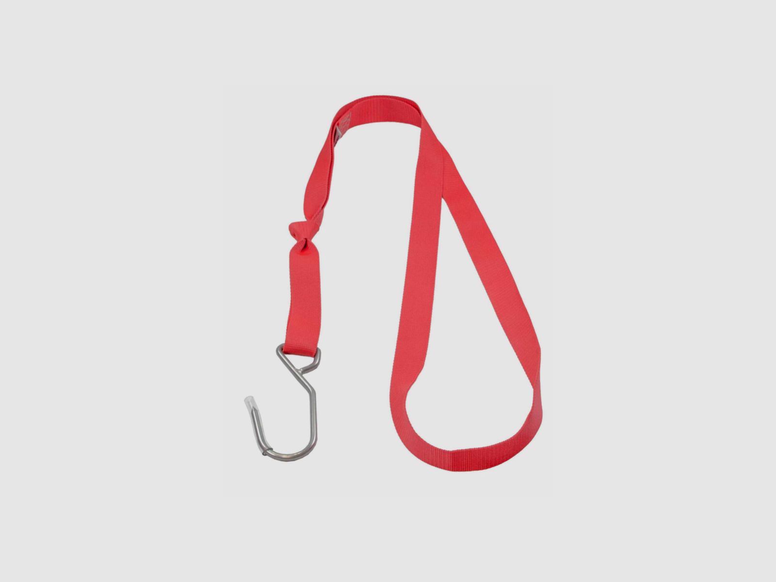 Pomoc dzikich zwierząt Hog