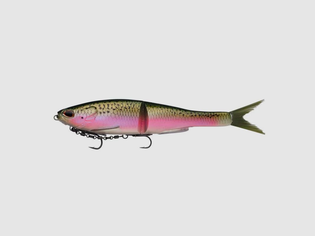 BERKLEY – POWERBAIT® NESSIE 22cm 57g | Slow Sinking | Rainbow Trout