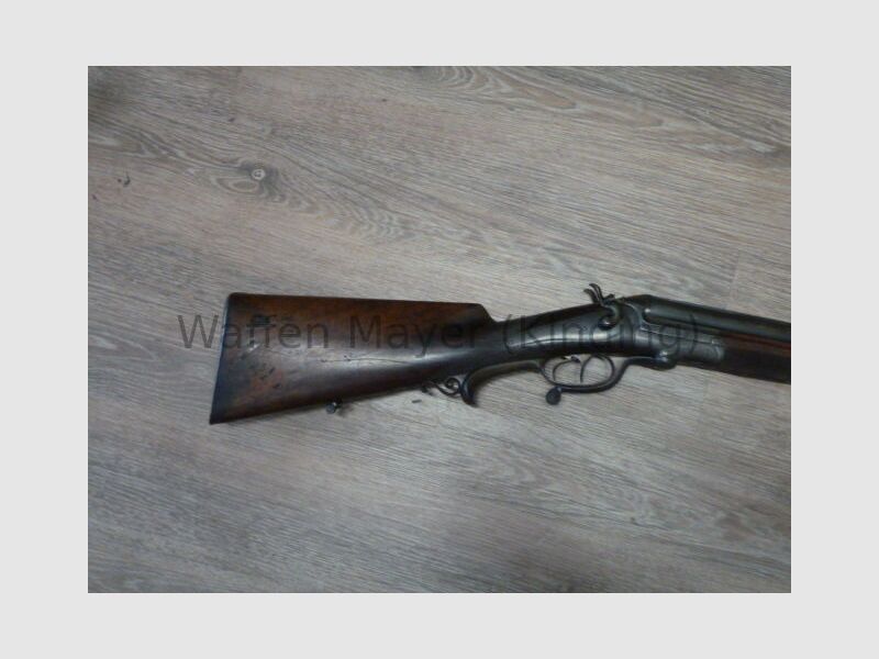 escopeta de perro desconocida