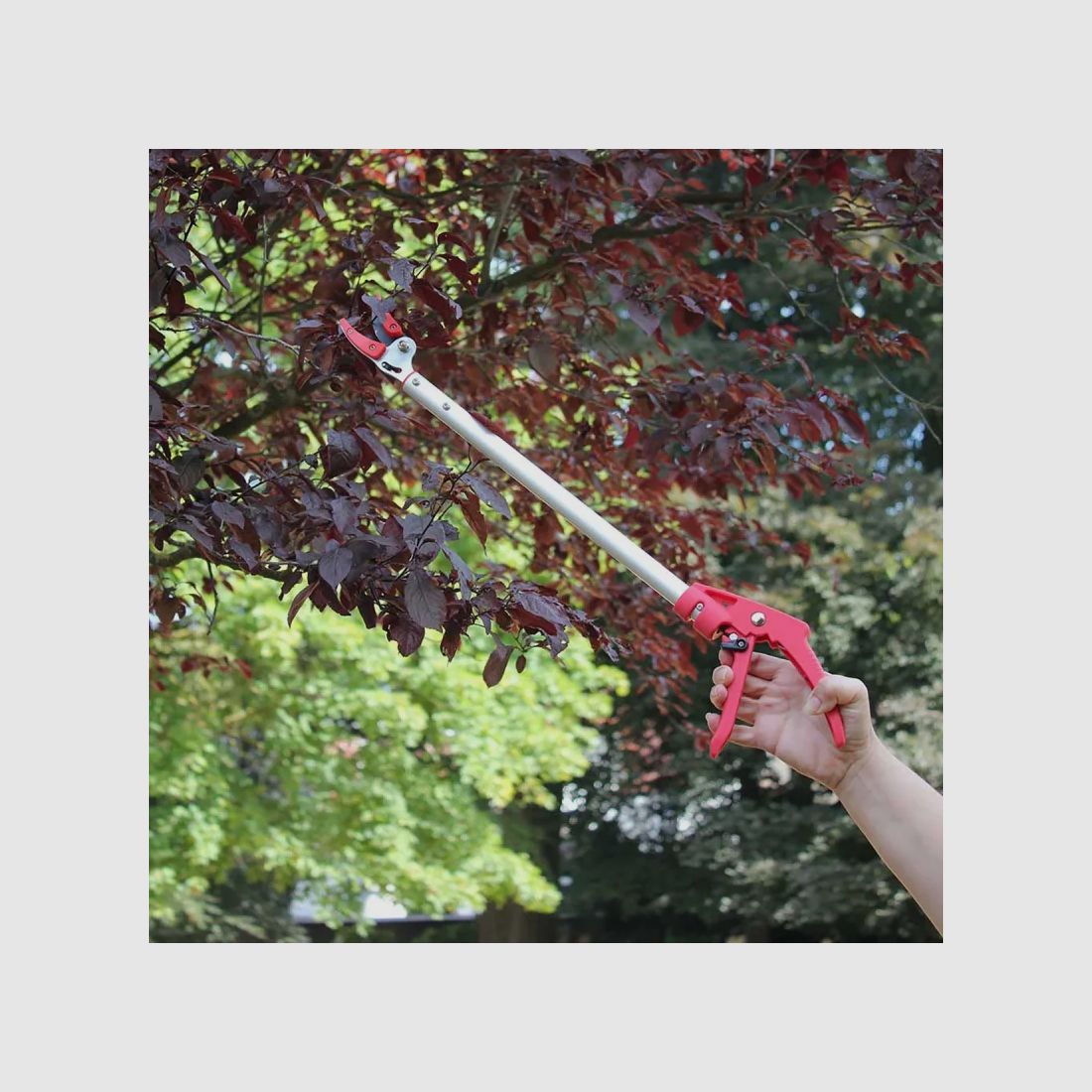 Telescopic pruner with long handle up to 2.30 m - Precise cut, image 2 of 7