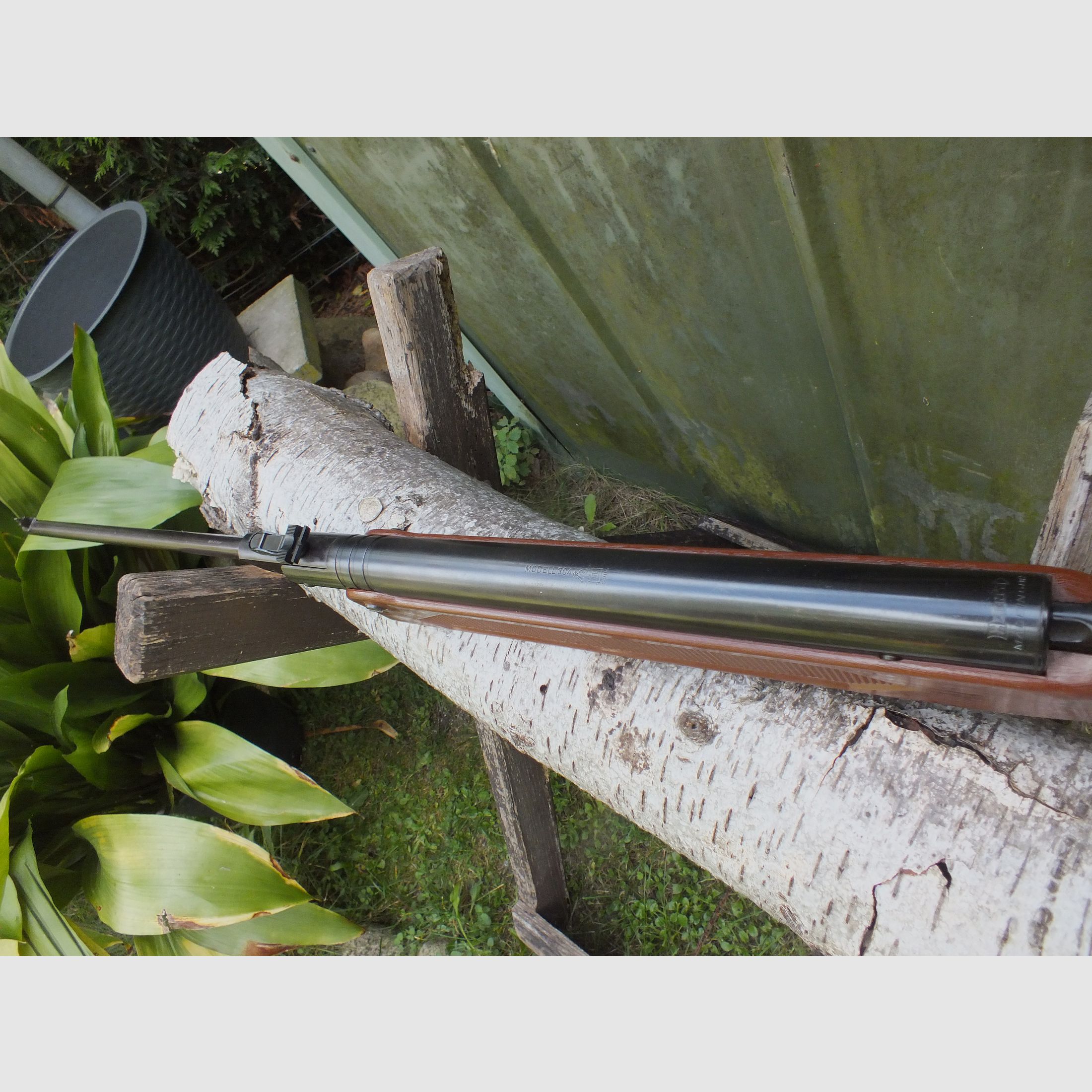 Air rifle Haenel 304 brown with grain. For collectors