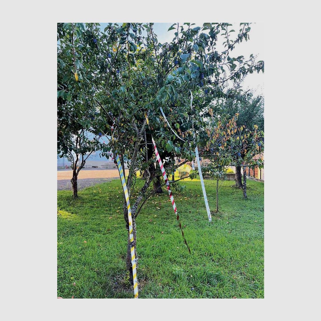 Reflektierendes Vogelschreckband