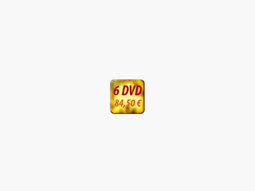 Combo Pack 6 DVD Lugari Video