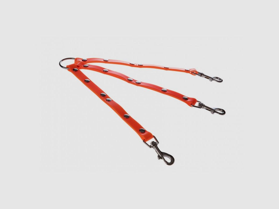Coupling for Carrying 3 Dogs, image 2 of 2