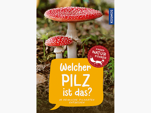 Book "Children's Nature Guide: Which Mushroom is This?"