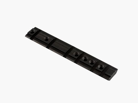 Rail pour ruger 10/22
