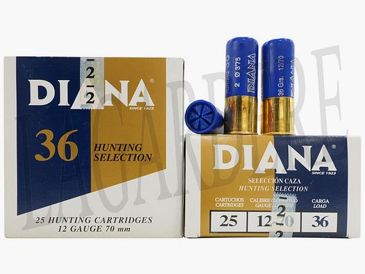 SAGA DIANA 36 NO. 2 (KATERSCHOT)