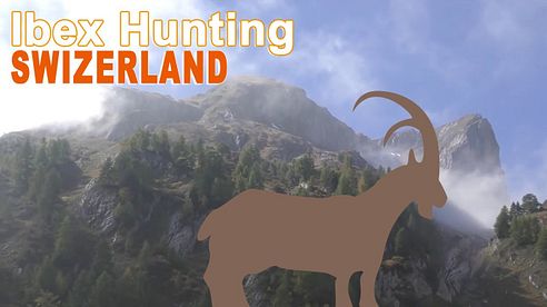 Alpine Ibex Hunting in Swizerland / 2015 (Chasse Approche)