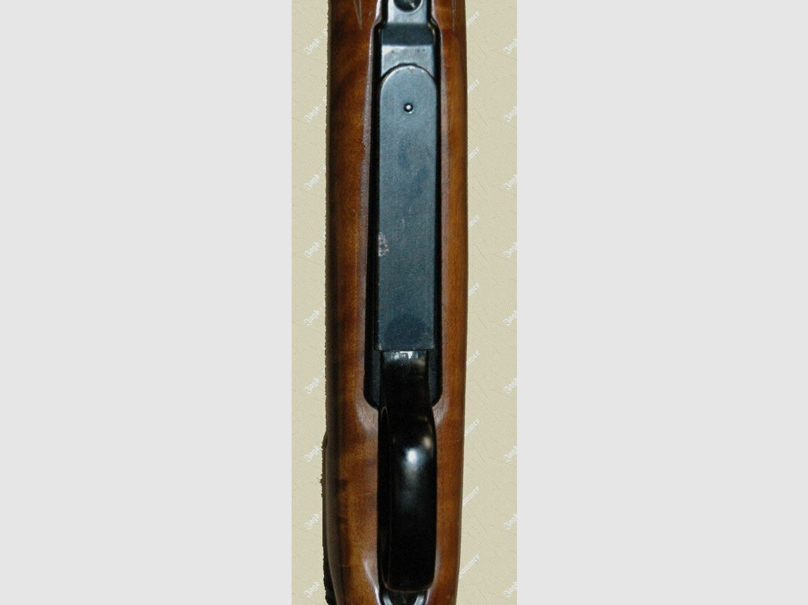 Krico	 600