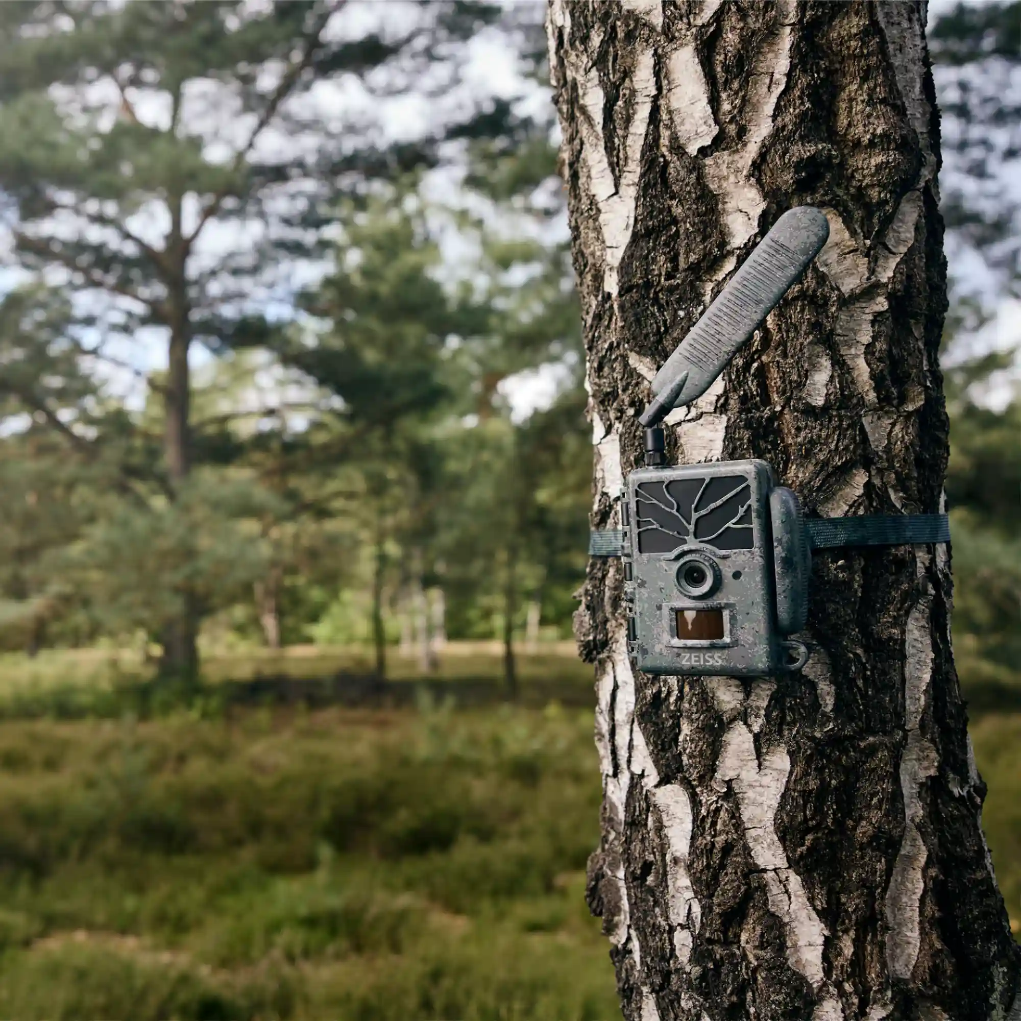 ZEISS SECACAM 1 wildcamera 4-pack (voordeelbundel), afbeelding 4 van 7