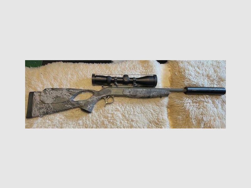 Bergara BA