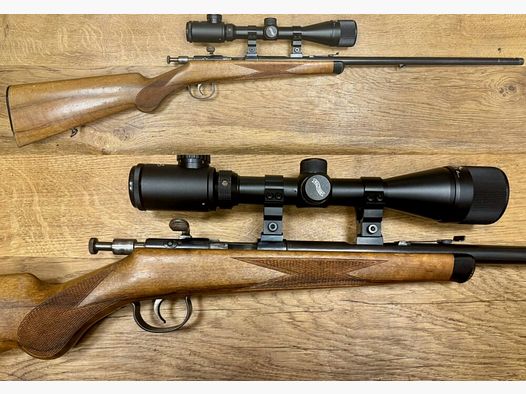 Anschütz de pequeño calibre