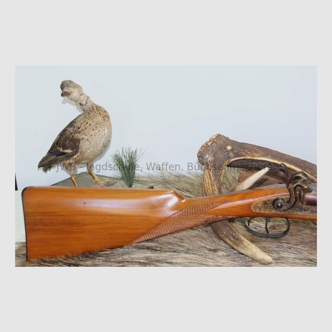 Fusil à double percussion Pedersoli 12 (Poudre Noire)