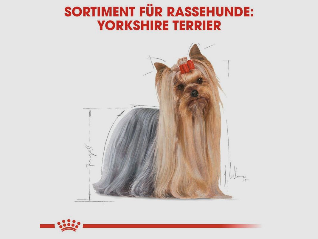 ROYAL CANIN Yorkshire Terrier Trockenfutter Adult