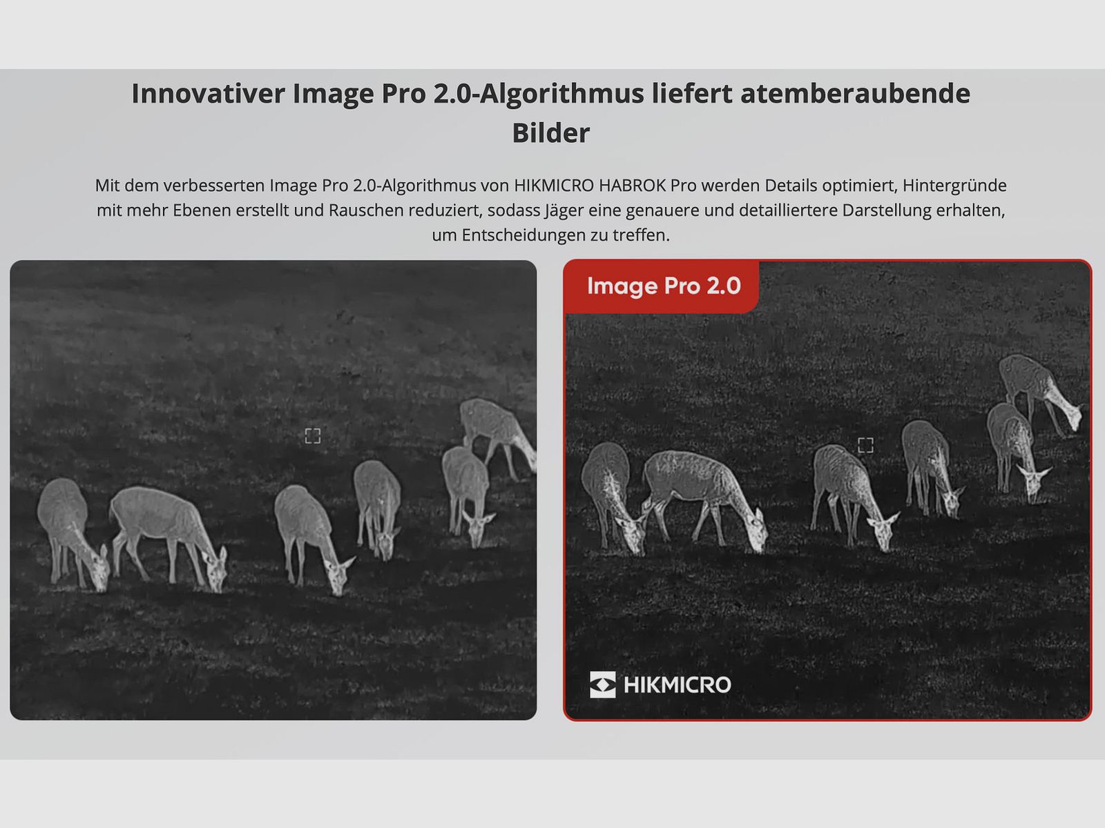 Hikmicro Binocular Habrok Pro HQ50L imagen térmica/visión nocturna/cámara digital 850Nm 3840 × 2160