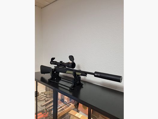 Action en acier HS .308, montage, silencieux, Minox 3-15x56 S