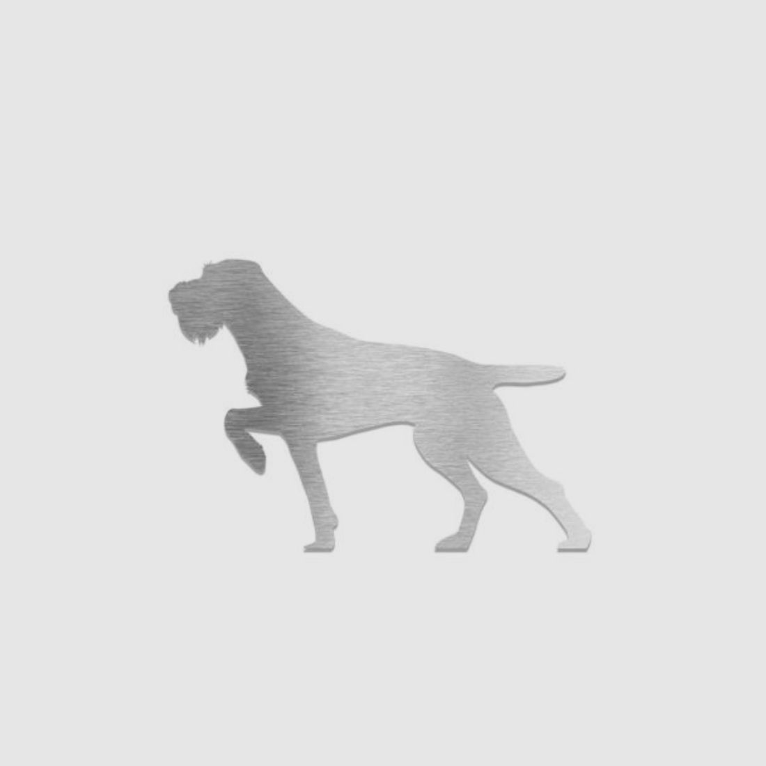 Pin decorativo "Drahthaar"