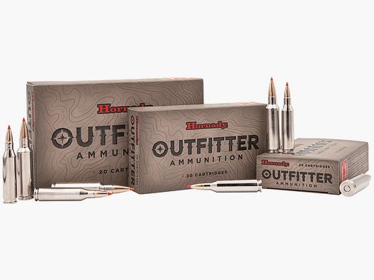 Hornady Outfitter .375 Ruger 16.2g CX
