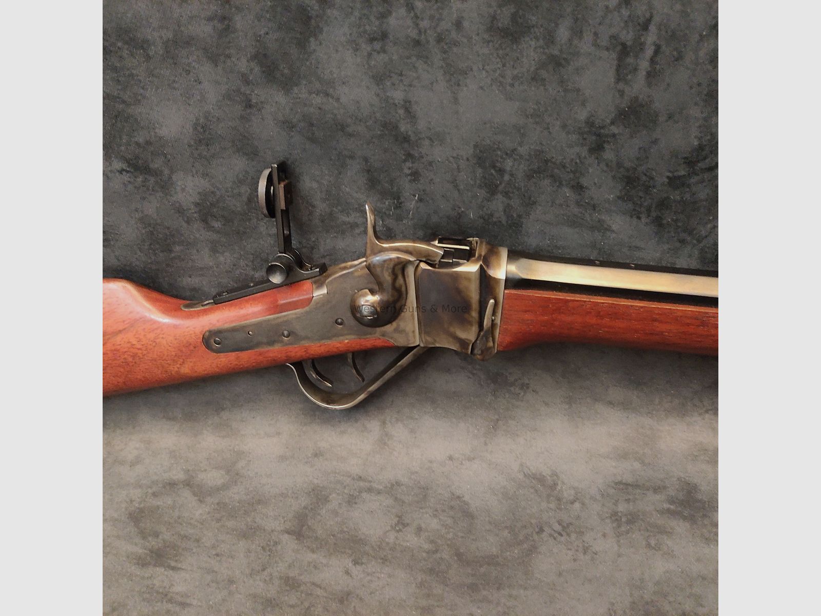 Chiappa Little Sharps .38-55Win. Eenling Geweer