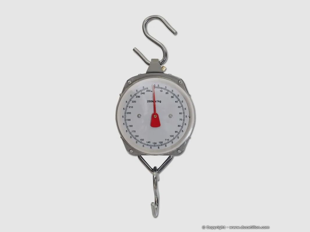Dynamometer mit 10 kg, Bild 1 von 3